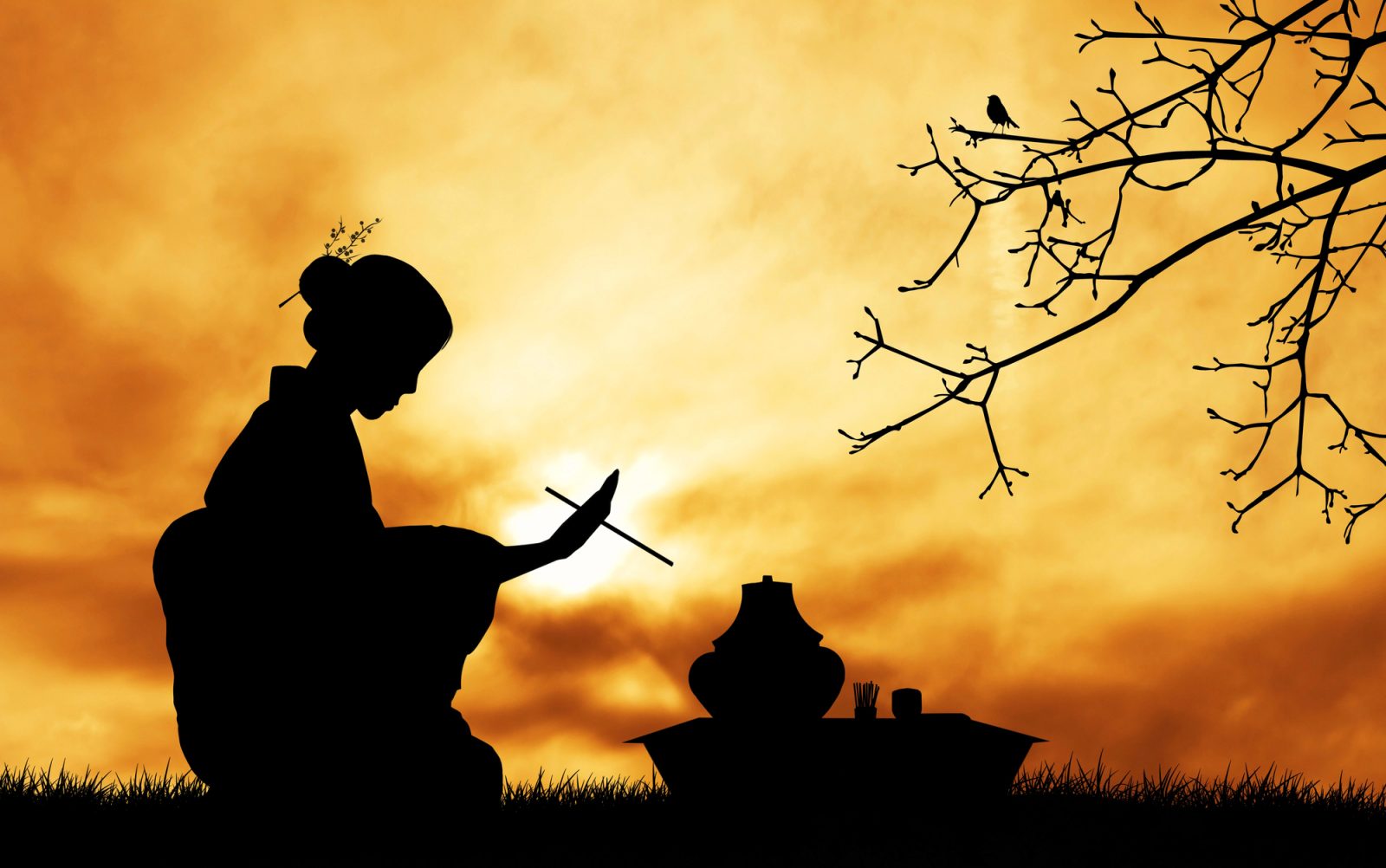 Ce thé vert, moulé finement, devient le cœur des cérémonies de thé.